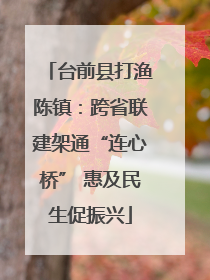 台前县打渔陈镇：跨省联建架通“连心桥” 惠及民生促振兴