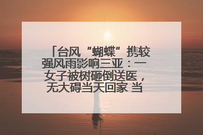 台风“蝴蝶”携较强风雨影响三亚：一女子被树砸倒送医，无大碍当天回家 当地已紧急清障