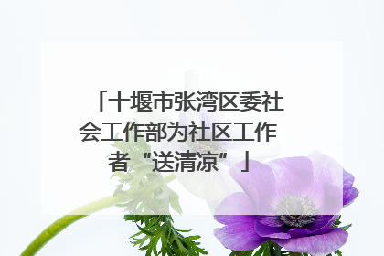 十堰市张湾区委社会工作部为社区工作者“送清凉”