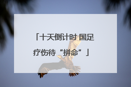 十天倒计时 国足疗伤待“拼命”