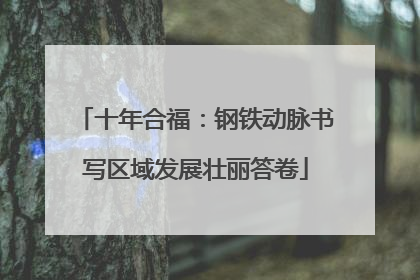 十年合福：钢铁动脉书写区域发展壮丽答卷