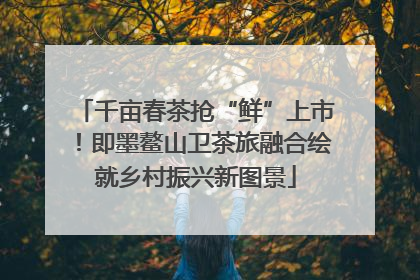 千亩春茶抢“鲜”上市！即墨鳌山卫茶旅融合绘就乡村振兴新图景