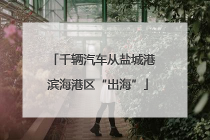 千辆汽车从盐城港滨海港区“出海”