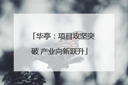 华亭：项目攻坚突破 产业向新跃升