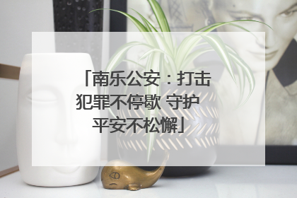 南乐公安：打击犯罪不停歇 守护平安不松懈