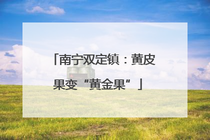 南宁双定镇：黄皮果变“黄金果”