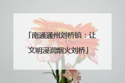 南通通州刘桥镇：让文明浸润烟火刘桥