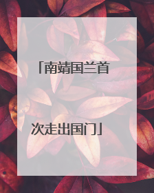 南靖国兰首次走出国门