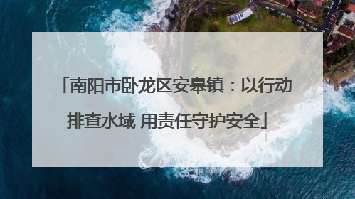南阳市卧龙区安皋镇：以行动排查水域 用责任守护安全