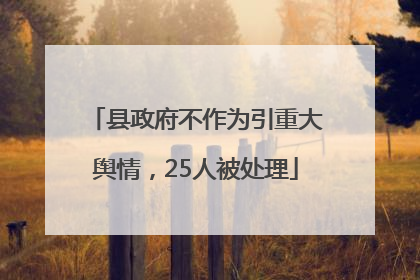 县政府不作为引重大舆情，25人被处理