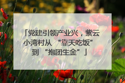 党建引领产业兴，紫云小湾村从 “靠天吃饭” 到 “抱团生金”