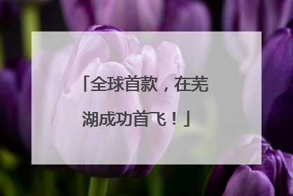 全球首款，在芜湖成功首飞！