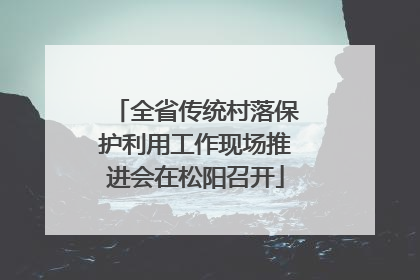 全省传统村落保护利用工作现场推进会在松阳召开
