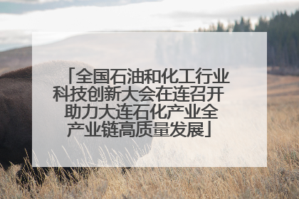 全国石油和化工行业科技创新大会在连召开 助力大连石化产业全产业链高质量发展