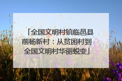 全国文明村镇临邑县前杨新村：从贫困村到全国文明村华丽蜕变