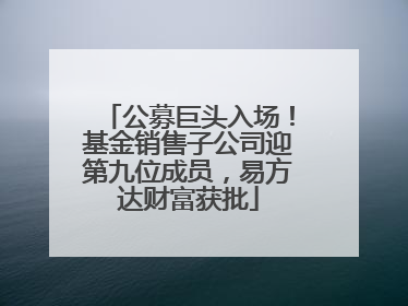 公募巨头入场！基金销售子公司迎第九位成员，易方达财富获批