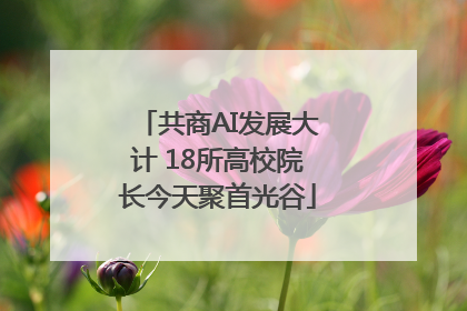 共商AI发展大计 18所高校院长今天聚首光谷