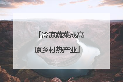 冷凉蔬菜成高原乡村热产业