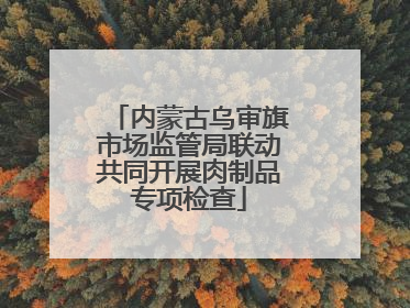 内蒙古乌审旗市场监管局联动共同开展肉制品专项检查