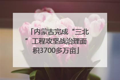 内蒙古完成“三北”工程攻坚战治理面积3700多万亩