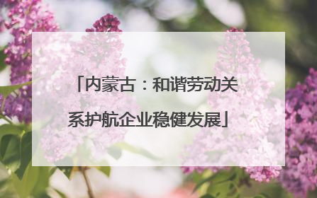 内蒙古：和谐劳动关系护航企业稳健发展