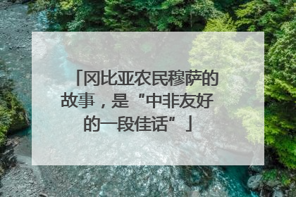 冈比亚农民穆萨的故事，是“中非友好的一段佳话”