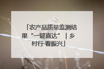 农产品质量监测结果“一键直达”｜乡村行·看振兴