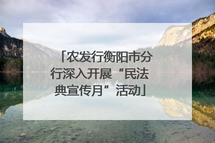 农发行衡阳市分行深入开展“民法典宣传月”活动