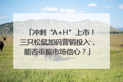 冲刺“A+H”上市！三只松鼠加码营销投入，能否重振市场信心？