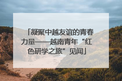 凝聚中越友谊的青春力量——越南青年“红色研学之旅”见闻