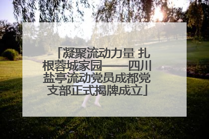 凝聚流动力量 扎根蓉城家园——四川盐亭流动党员成都党支部正式揭牌成立