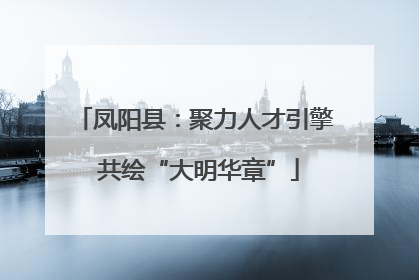 凤阳县：聚力人才引擎 共绘“大明华章”