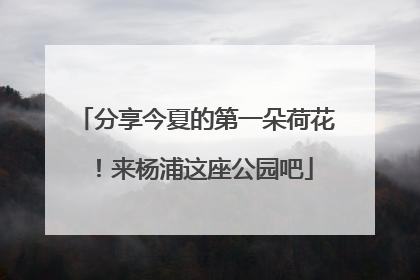 分享今夏的第一朵荷花！来杨浦这座公园吧