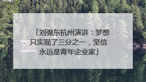 刘强东杭州演讲：梦想只实现了三分之一，坚信永远是青年企业家