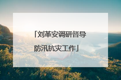 刘革安调研督导防汛抗灾工作