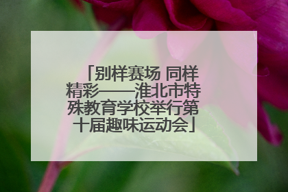 别样赛场 同样精彩——淮北市特殊教育学校举行第十届趣味运动会