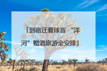 到宿迁看球赛 “洋河”赠酒旅游全安排