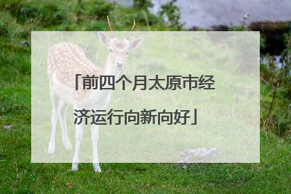 前四个月太原市经济运行向新向好
