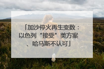 加沙停火再生变数：以色列“接受”美方案、哈马斯不认可
