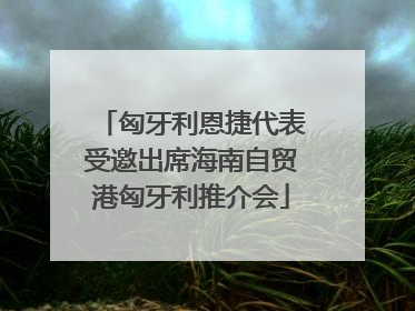 匈牙利恩捷代表受邀出席海南自贸港匈牙利推介会