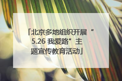 北京多地组织开展“5.26 我爱路”主题宣传教育活动
