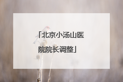 北京小汤山医院院长调整