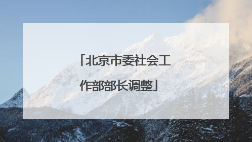 北京市委社会工作部部长调整