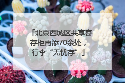 北京西城区共享寄存柜再添70余处，行李“无忧存”