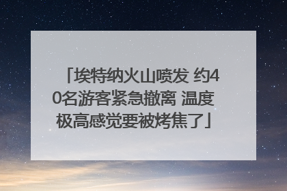 埃特纳火山喷发 约40名游客紧急撤离 温度极高感觉要被烤焦了