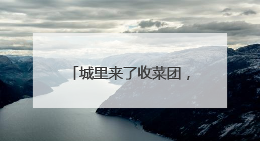 城里来了收菜团，我花三小时赶去山里串门，带回一群七旬村民的心愿