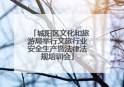 城阳区文化和旅游局举行文旅行业安全生产暨法律法规培训会