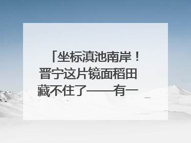 坐标滇池南岸！晋宁这片镜面稻田藏不住了——有一种叫云南的生活之365天