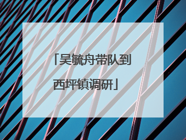 吴毓舟带队到西坪镇调研