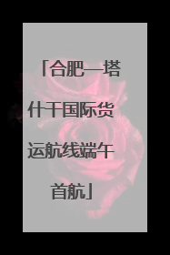 合肥—塔什干国际货运航线端午首航